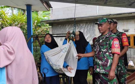 Babinsa Aktif Lakukan Pendampingan Posyandu Di Wilayah Binaannya