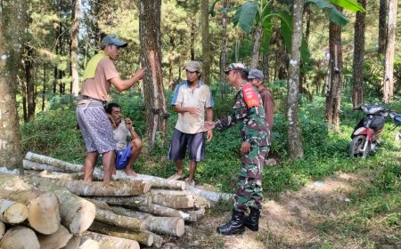 JALIN KEAKRABAN BABINSA KOMSOS KE PETANI KAYU ALBASIA